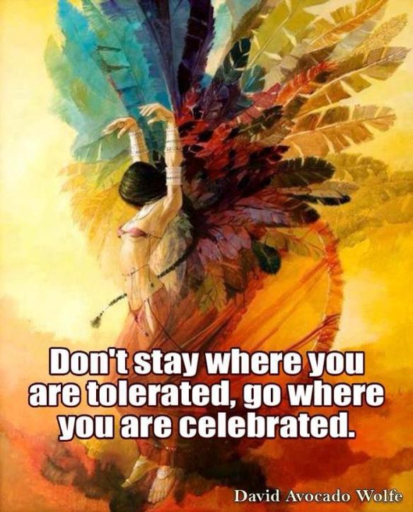 11215096_542296432589853_8772558570038625576_n