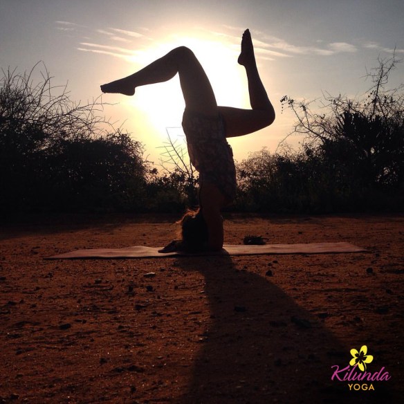 ForearmBalance_Tsavo